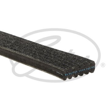 KANALLI KAYIŞ (ÇİFT KANALLI) PAS YM BORA GOLF IV-POLO (68381D)x(C)