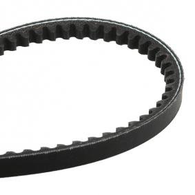 6246Esc Avx10X1650 (Set=02Ea)