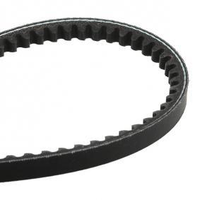 6246Esc Avx10X1650 (Set=02Ea)