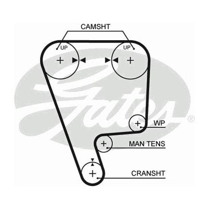 (x) TRİGER KAYIŞI (129x240) HONDA CIVIV CRX 1.6 12/16V (83-92) INTEGRA 1.6 16V (86-89) CT722