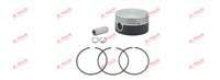KOMPRESOR PISTON+SEGMAN 100,25 MAN E2000-F2000-TGA-TGL-TGM-TGS-TGX