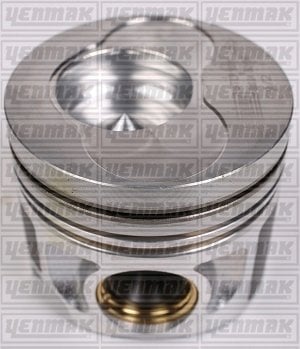 (x) MOTOR PİSTON+SEGMAN STD (81.01) CADDY-GOLF-JETTA-PASSAT-A3-A4 2.0TDİ BG/BP/BHW-CBHA (1.2 SİLİNDİ