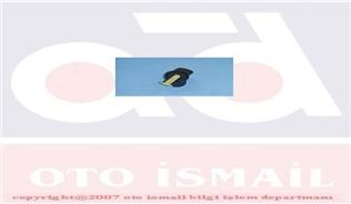 TEVZİ MAKARASI R11 FLASH 1.7 (ORJ.ÜRÜN)