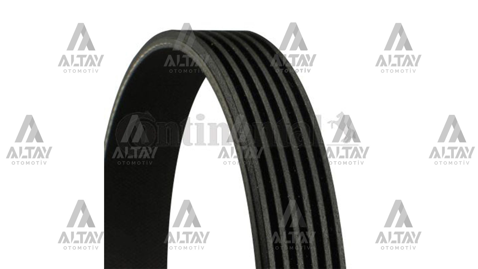 KANALLI KAYIŞ VAG / 1.4TSI GOLF V-VI JETTA III-IV PASSAT 09=> POLO 10=> SCIROCCO 08-17 TIGUAN 07=> B