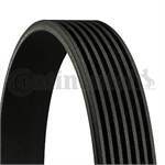 KANALLI KAYIS HONDA ACCORD 2.4VTEC 16V (03 08) ACURA (7PK1750)