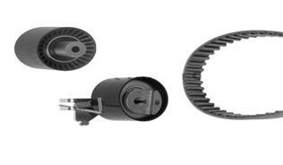 EKSANTRİK GERGİ KİTİ (135x254) P206-207-307-1007-C2-C3-C4 1.4 16V (KFU ET3J4)
