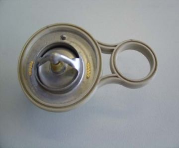 Termostat  Mını R50-R52-R53 Bm