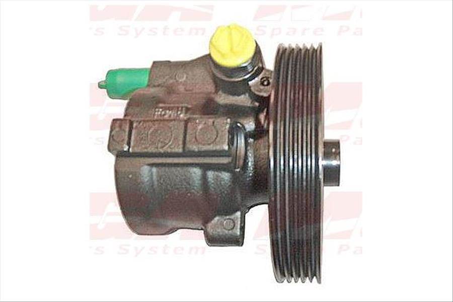 DIREKSIYON POMPASI  KASNAKLI  ( RENAULT: MASTER II TRAFIC II 1.9DCI 00 -  KANGOO  ) 6 KANAL 125mm