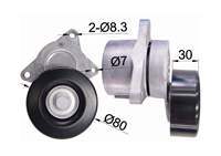 ALTERNATÖR GERGI RULMANI (KÜTÜKLÜ) RENAULT KOLEOS 2.5 08=> NISSAN X-TRAIL 2.5 07=>
