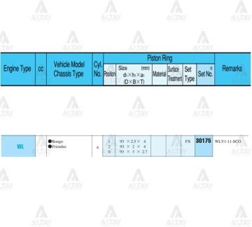 SEGMAN B-2500  96-00 /  93.50mm / 2.5 - WL / 0.50 TAKIM