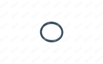 EMME MANIFOLD CONTASI CITROEN JUMPER PLATFORM ŞASI RELAY 2.2 HDI 120