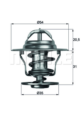 TERMOSTAT VW