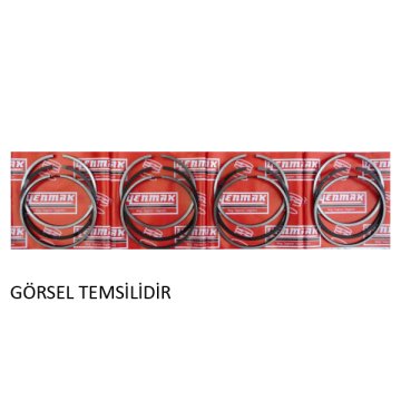 MOTOR SEGMANI (050) MGN III 1.6 DCI-SCENIC III 1.6 DCI 16V-TRAFIC III 1.6 DCI