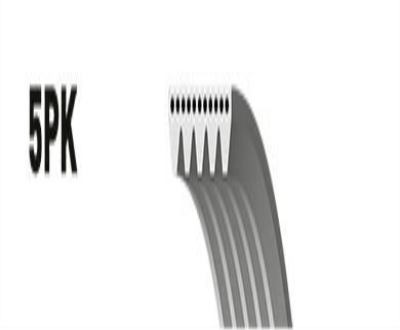 V Kayışı  Escort 1.8 D