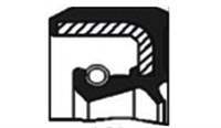 SANZIMAN ON KECESI SCANIA 124L400-124L420-143H450-144L460- SERISI