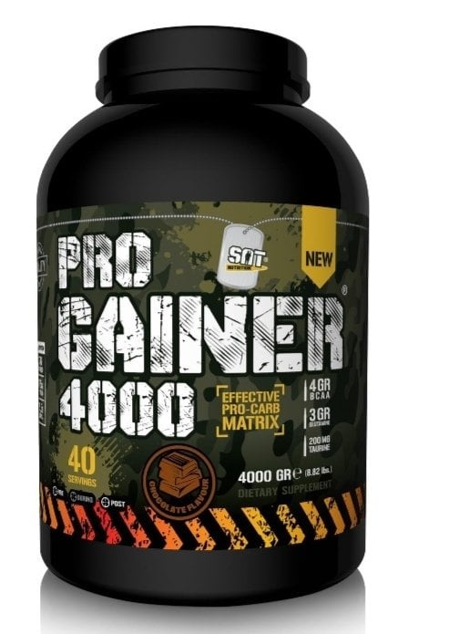 Sat Progainer 4000 Gr