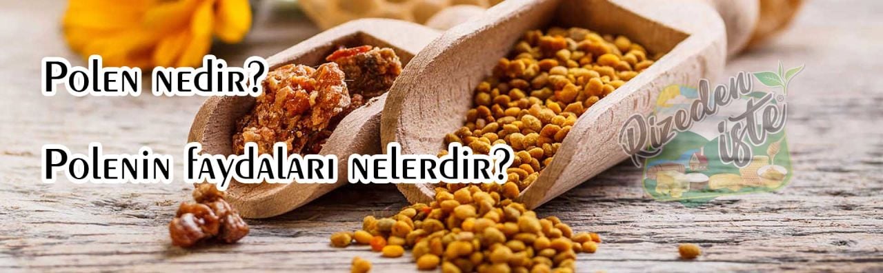 Polenin Faydaları Nelerdir?