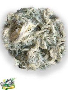 YEŞİL PEYNİRLİ MİNCİ 1 KG.