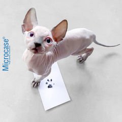 Microcase Mürekkepsiz Evcil Hayvan Kedi Köpek Pati Izi Seti AL4357