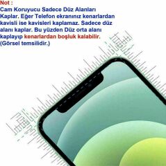 Microcase Huawei Nova 11 Tempered Glass Cam Ekran Koruyucu - AL3269