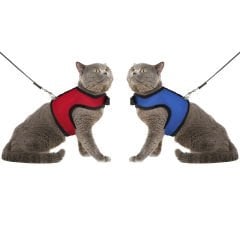 Microcase Kaçış Önleyici Kedi Gezdirme Göğüs Tasması - AL3259