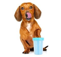 Microcase Taşıma Askılı Kedi-Köpek Pati Temizleme Aparatı Orta Boy - AL3854