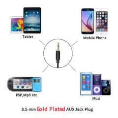 iPhone İçin Range Rover BMW Mini 3.5mm Aux ve Şarj Araç Kiti