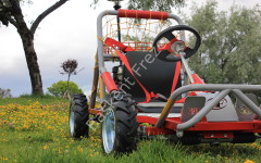 BF BUGGY 1