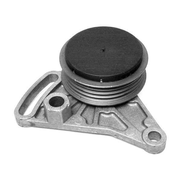 ALTERNATÖR GERGİ KASNAĞI RULMANLI KÜTÜKLÜ PASSAT 96-05 -A4 95-04 -A6 97-05 1.8-1.8T-1.9TDI