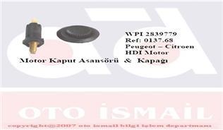 MOTOR KAPUT ASANSÖRÜ VE KAPAĞI PEUGEOT-CITROEN HDI