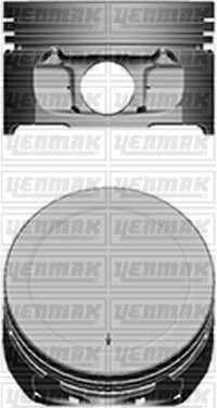 MOTOR PİSTON SEGMAN STANDART TU5JP4 1.6 16 5 TEPE YÜK 0.15 MM 109 KW