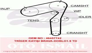 TRİGER KAYIŞI 193x240 BRAVA-DOBLO-MAREA-STRADA 1.9 TD LANCIA KAPPA 2..4 GD193H8P240 CT918