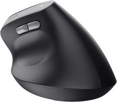 Trust TM-270 Ergonomik Kablosuz Mouse - Siyah