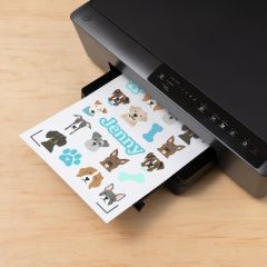 Cricut Yazdırılabilir Suya Dayanıklı Transparan Çıkartma Seti - A4 - 6 Sayfa 2010352