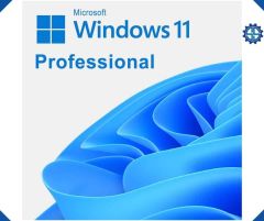 Microsoft Windows 11 Pro Türkçe 64Bit OEM FQC-10556 Orijinal Lisans