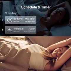 TP-Link Tapo L530E(2-Pack) Ayarlanabilir Işık Seviyeli Renkli Akıllı Wi-Fi Led Ampul (2'li Paket)