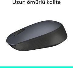 Logitech M170 Kablosuz Mouse 910-004642