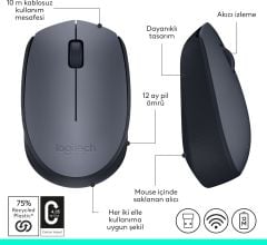 Logitech M170 Kablosuz Mouse 910-004642