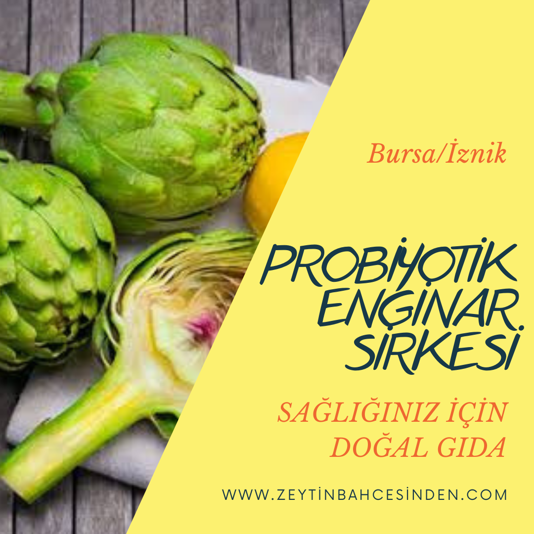 Probiyotik Enginar Sirkesi 500 cc