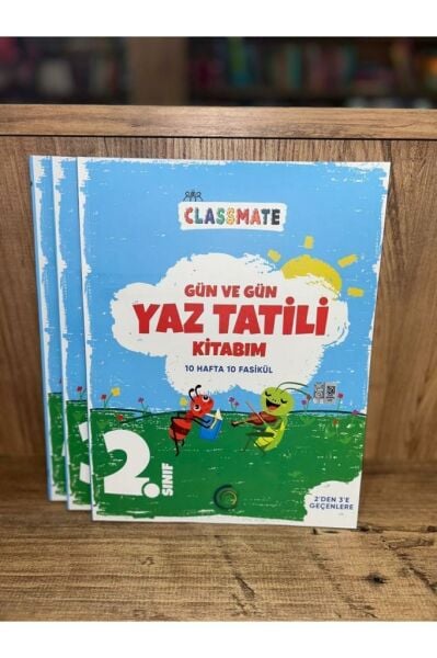2. Sınıf Gün Ve Gün Yaz Tatili Kitabı
