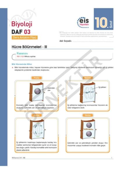 10. Sınıf Biyoloji Ders Anlatım Föyü (daf)