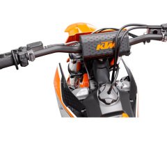 250 SX