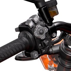 1290 SUPER DUKE R EVO