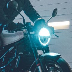 Vitpilen 401