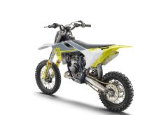 TC 65