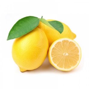 Limon Fidanı Yetiştiriciliği