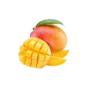 Mango Fidanı Yetiştiriciliği
