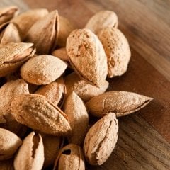 Tüplü El Badem Nonpareil Badem Fidanı