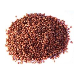 Sorgum Sudan Otu Tohumu-5 Kg