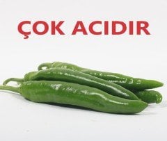 Zehir Gibi Acı Hatay Samandağ Biber Fidesi-5 Adet